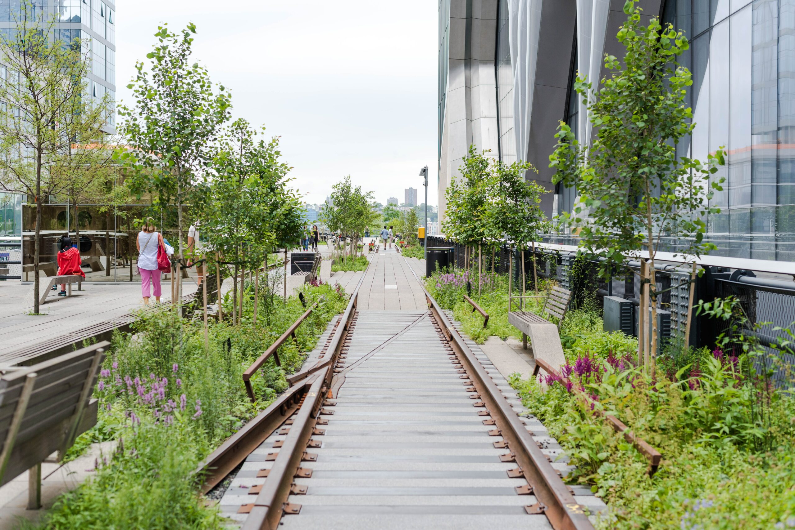 Plants along adaptive reuse walkway